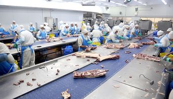 A dos años de la reapertura, un frigorífico ya exporta carne bovina a China