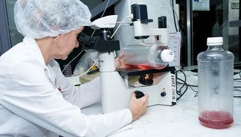 Biotecnología: con un nuevo marco regulatorio buscan confiabilidad y agilidad