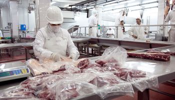 Se suman 19 frigoríficos con acceso a China