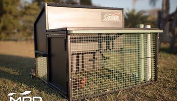 El contador que inventó gallineros móviles y es furor: ¿En qué consiste esta casita para gallinas que surgió en pandemia?