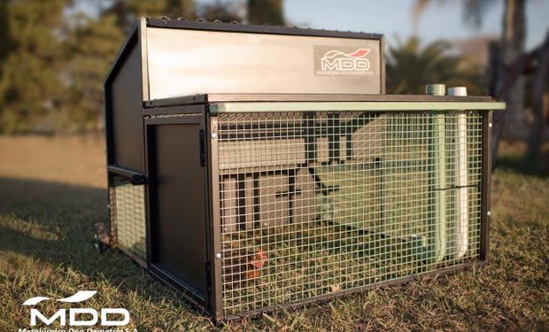El contador que inventó gallineros móviles y es furor: ¿En qué consiste esta casita para gallinas que surgió en pandemia?
