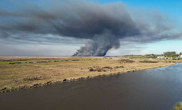 Video viral: la grave denuncia de Greenpeace contra Baggio por las quemas en el Delta del Paraná