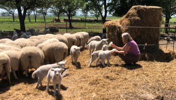 Con más de 40 años entre animales y el campo, la experiencia de una productora que reflexiona sobre las nuevas generaciones: "Ahora es común ver mujeres conduciendo tractores"