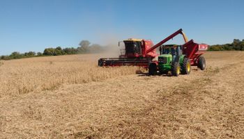 Buen ritmo de ventas de maquinarias agrícolas en abril: ranking