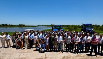 Potencial extraordinario: ¿Hay una oportunidad para transformar granos en carne?