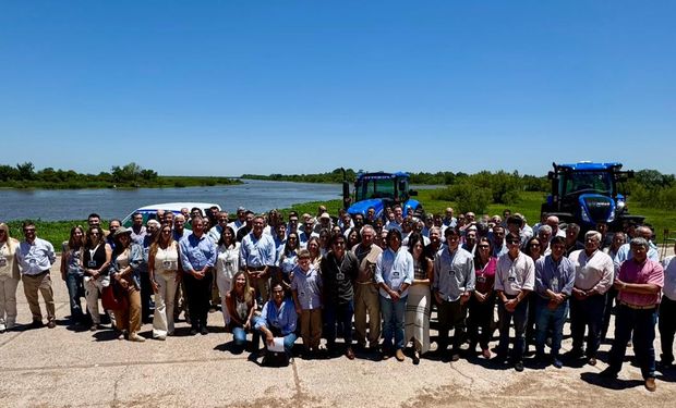 Potencial extraordinario: ¿Hay una oportunidad para transformar granos en carne?