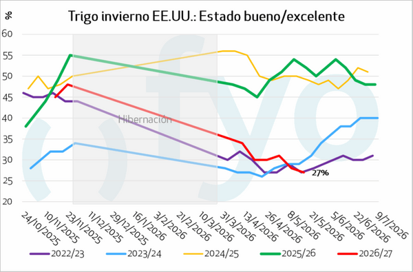 trigo de invierno