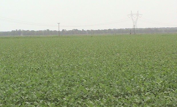 Argentina es el quinto país con mayor tierra cultivable disponible