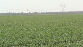 ¿Cómo quedó el sector tras el alejamiento de los pooles?