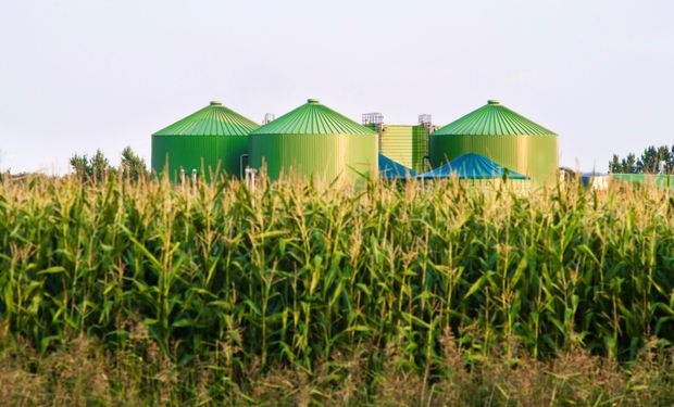 Hacia adonde va el mundo: la agroindustria del siglo XXI se basa en el conocimiento y en el cuidado del medio ambiente y la gente.