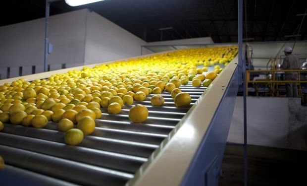 La fruta argentina ganó mayor participación y se exportó un 13,9 % más que en 2019