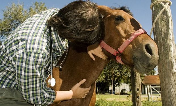 Senasa: veterinarios y técnicos deberán reacreditarse en programas sanitarios de forma online