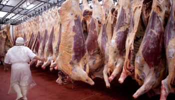 Nuevo mercado para la carne bovina: Argentina exportará a Serbia cortes sin hueso