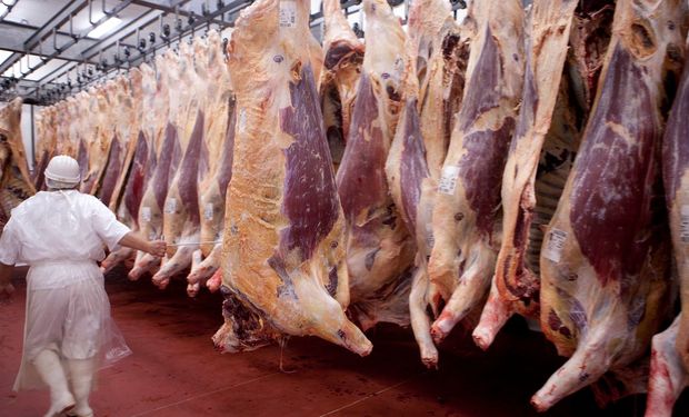 Nuevo mercado para la carne bovina: Argentina exportará a Serbia cortes sin hueso