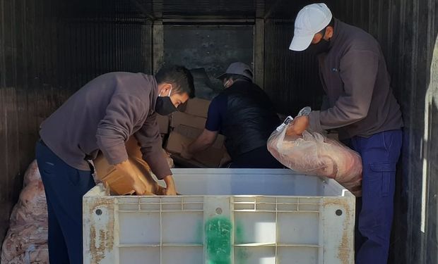 Senasa decomisó más de 6 toneladas de carne que representaban un peligro para la salud 