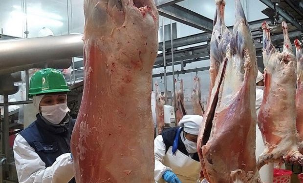 En plena cuarentena, Argentina exportará carne ovina a China