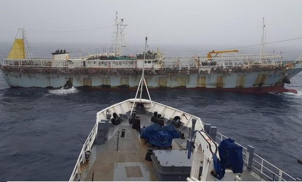 Persecución en mar argentino: un barco chino logró escapar mientras realizaba pesca ilegal 