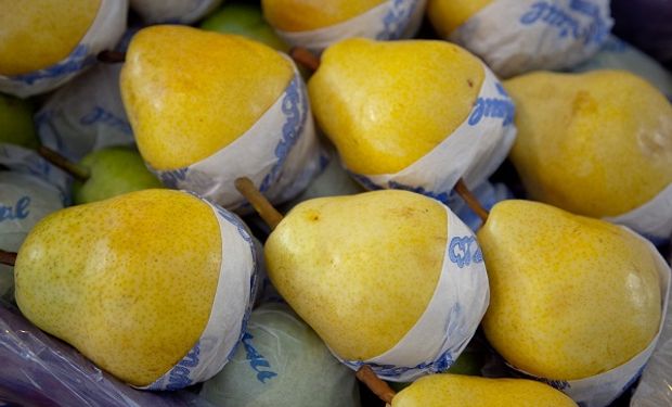 Las peras argentinas conquistan el mercado ruso y las exportaciones aumentaron un 30 %