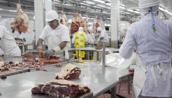 Argentina duplicó las exportaciones de carne caprina en lo que va de 2020