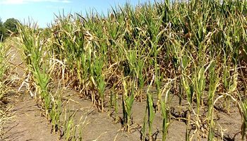 ¿Septiembre cierra sin agua?