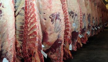 Consumo récord de carnes en el 2013