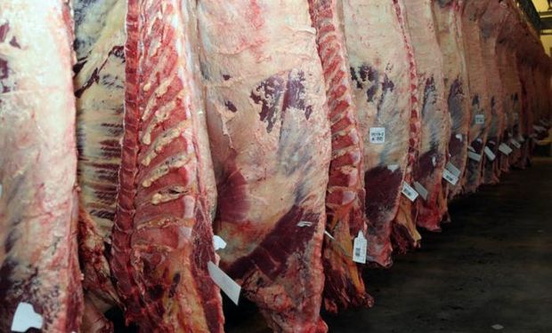 Consumo récord de carnes en el 2013