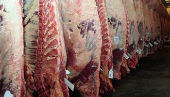 Esperan que Estados Unidos y Canadá reabran sus mercados a la carne Argentina
