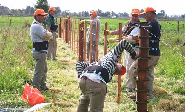 Día del Alambrador: por qué se celebra el 15 de marzo