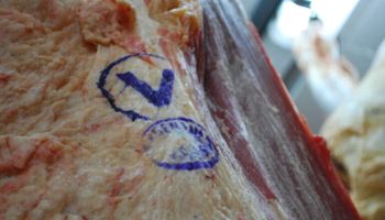 Sorpresa: el producto del campo que ya le aportó al país US$ 2000 millones en lo que va del año