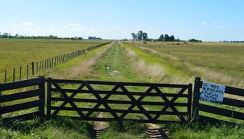 El mercado inmobiliario rural busca dejar atrás ocho años de pobre desempeño
