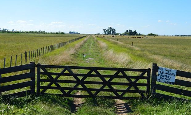 Se recupera la actividad del mercado inmobiliario rural.