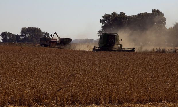 El 95 % de los productores espera que la rentabilidad mejore por las políticas económicas de Javier Milei