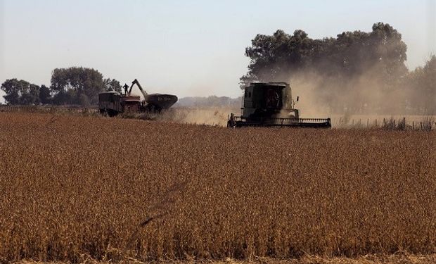 Alertan que en Entre Ríos el margen bruto será desfavorable para la soja de segunda