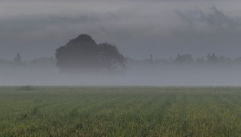 La segunda mitad de mayo llega con lluvias: cuáles serán las zonas beneficiadas