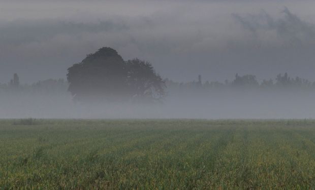 La segunda mitad de mayo llega con lluvias: cuáles serán las zonas beneficiadas