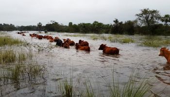 Cómo trabajar con el rodeo en campos inundados