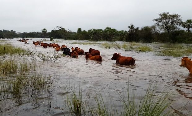 Cómo trabajar con el rodeo en campos inundados