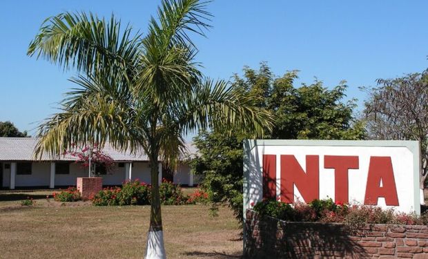 Senado trata el decreto del INTA y puede haber vuelta atrás en la estructura del instituto