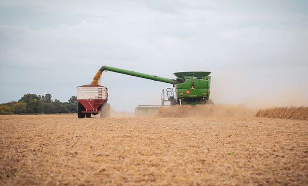 La oportunidad del agro: qué debe hacer Argentina para reducir la brecha con Brasil y Estados Unidos para 2035