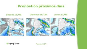 Informe especial: cómo va a estar el clima en las próximas dos semanas