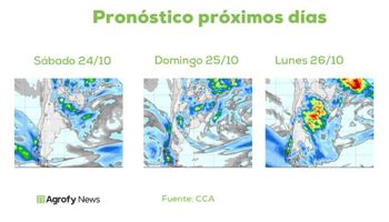 Lluvias: el pronóstico del tiempo anticipa buenos acumulados para los próximos días