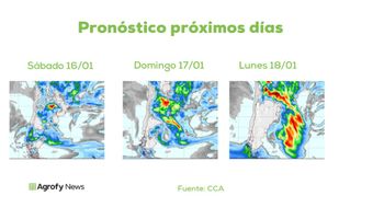Lluvias: cómo sigue el tiempo durante los próximos días