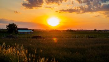 Estados Unidos alerta que La Niña empeorará la sequía, con impacto en un cultivo en particular