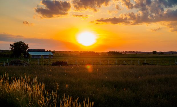 Estados Unidos alerta que La Niña empeorará la sequía, con impacto en un cultivo en particular