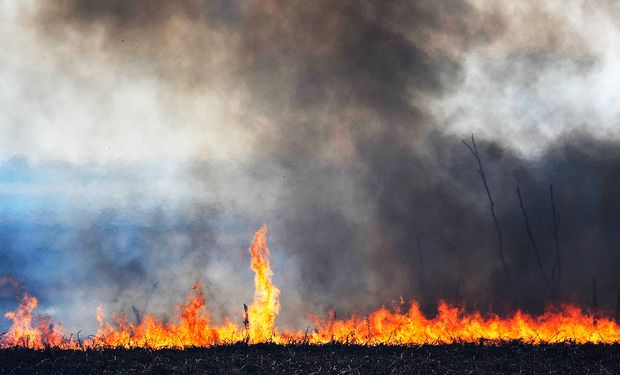 “Te vamos a prender fuego”: un diputado de Juntos por el Cambio recibió amenazas por la ley de humedales