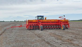 Crearon un modelo probabilístico que pone números a la incertidumbre: qué conviene sembrar frente a escenarios variables