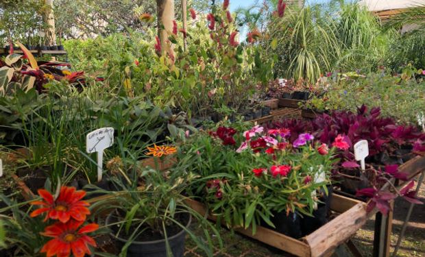 Dia das Mães: venda de flores deve aumentar 30%