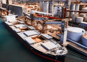 Paro de transportistas: exportadores aseguran que los buques dejaron de venir a cargar a la Argentina