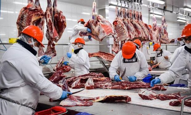 La faena bovina creció 9,8 % en julio y la producción de carne alcanzó las 290,6 mil toneladas