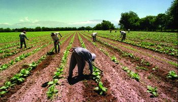 Trabajadores rurales: prorrogan el decreto que permite cobrar programas sociales a pesar de estar registrados